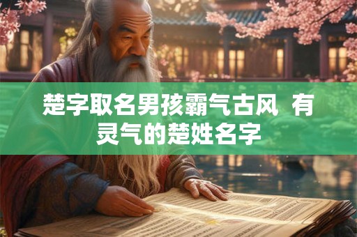 楚字取名男孩霸气古风 有灵气的楚姓名字 楚字取名男孩霸气古风 有灵气的楚姓名字