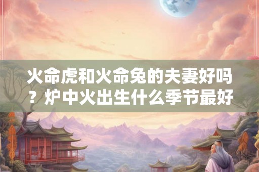 火命虎和火命兔的夫妻好吗？炉中火出生什么季节最好？