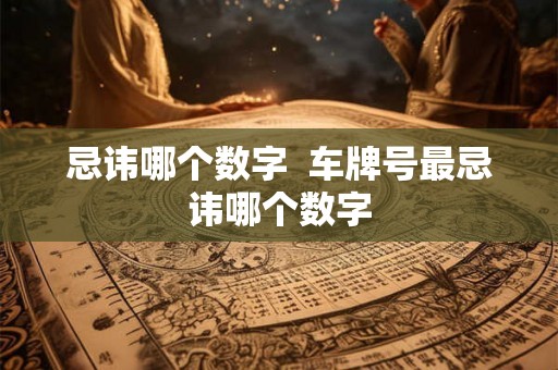忌讳哪个数字  车牌号最忌讳哪个数字