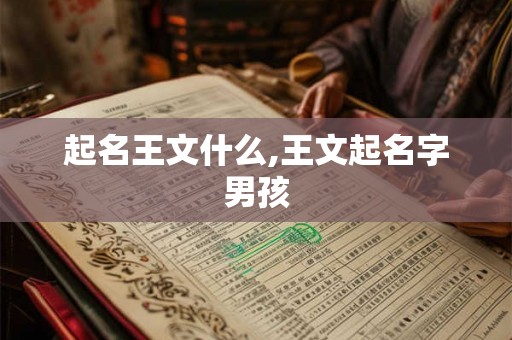 起名王文什么,王文起名字男孩