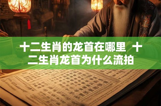 十二生肖的龙首在哪里  十二生肖龙首为什么流拍