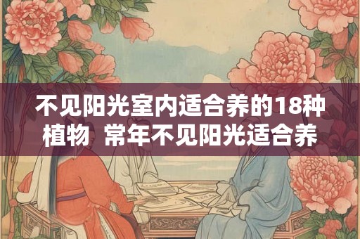 不见阳光室内适合养的18种植物  常年不见阳光适合养什么花