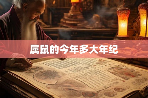 属鼠的今年多大年纪
