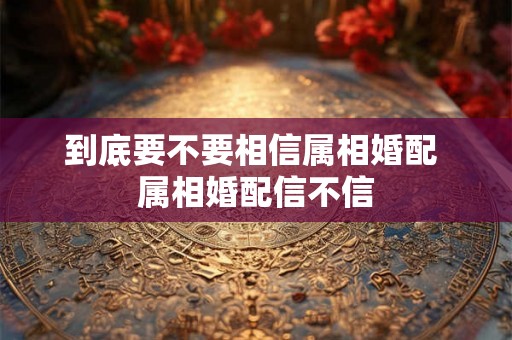 到底要不要相信属相婚配 属相婚配信不信