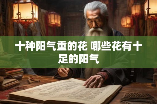 十种阳气重的花 哪些花有十足的阳气