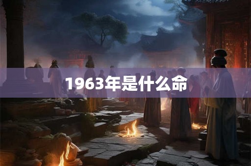 1963年是什么命