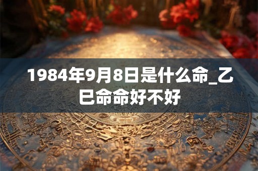 1984年9月8日是什么命_乙巳命命好不好