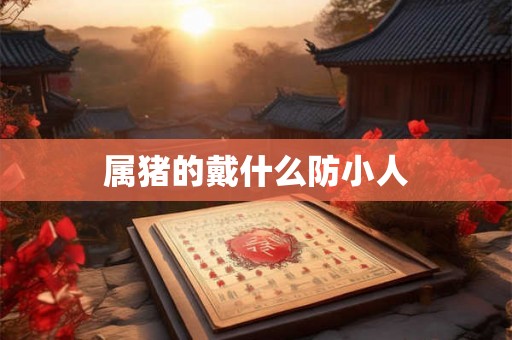 属猪的戴什么防小人