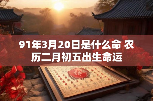 91年3月20日是什么命 农历二月初五出生命运