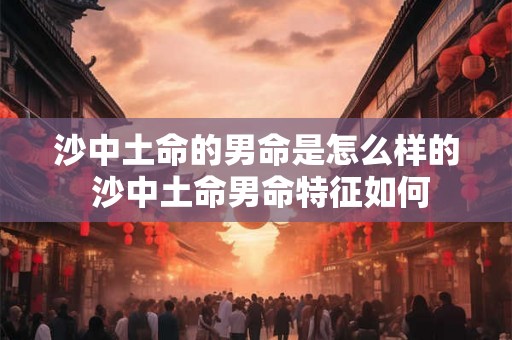 沙中土命的男命是怎么样的 沙中土命男命特征如何