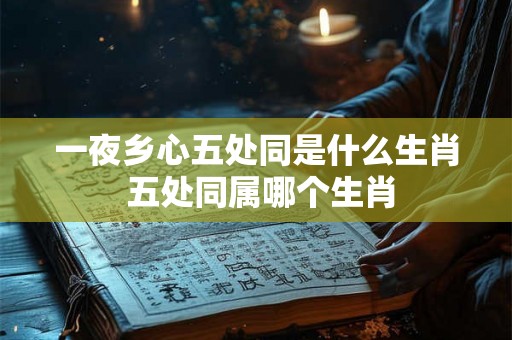 一夜乡心五处同是什么生肖 五处同属哪个生肖