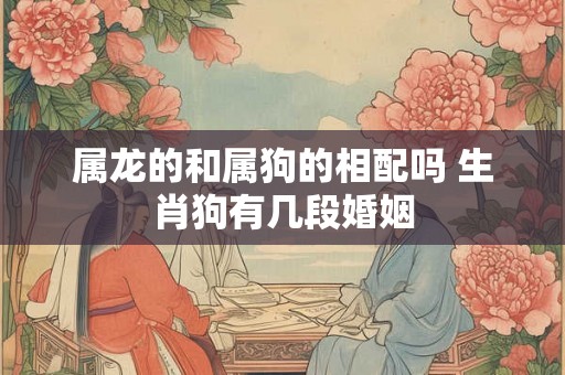 属龙的和属狗的相配吗 生肖狗有几段婚姻 属龙的和属狗的相配吗 生肖狗有几段婚姻