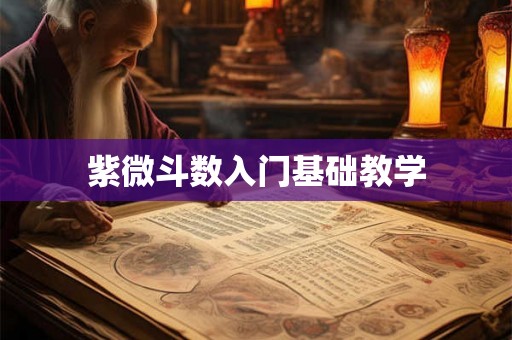 紫微斗数入门基础教学 紫微斗数入门基础教学