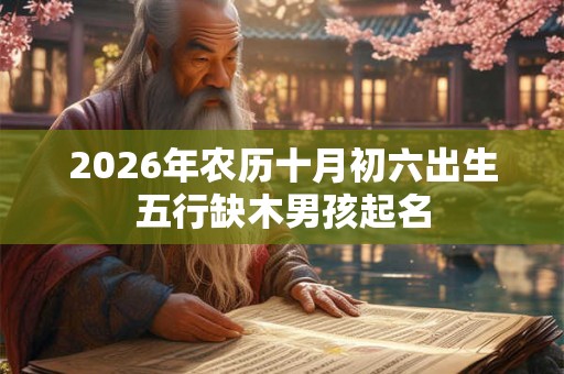2026年农历十月初六出生五行缺木男孩起名