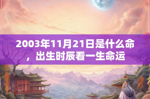 2003年11月21日是什么命，出生时辰看一生命运