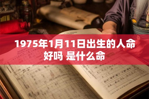 1975年1月11日出生的人命好吗 是什么命