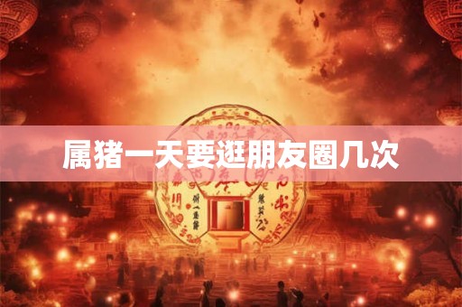 属猪一天要逛朋友圈几次