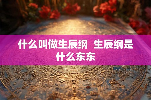 什么叫做生辰纲  生辰纲是什么东东