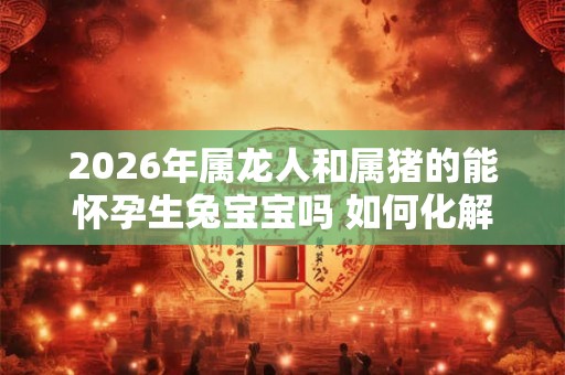2026年属龙人和属猪的能怀孕生兔宝宝吗 如何化解不利