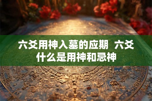 六爻用神入墓的应期 六爻什么是用神和忌神 六爻用神入墓的应期 六爻什么是用神和忌神