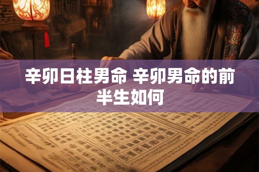 辛卯日柱男命 辛卯男命的前半生如何 辛卯日柱男命 辛卯男命的前半生如何
