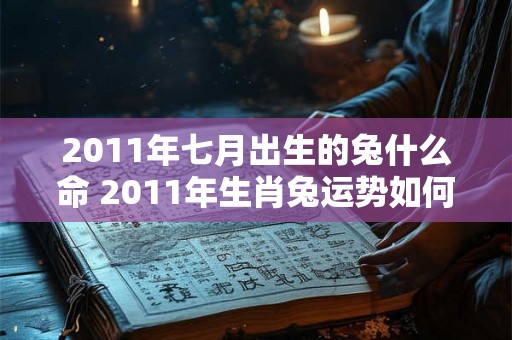 2011年七月出生的兔什么命 2011年生肖兔运势如何