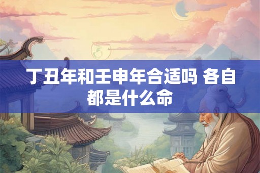 丁丑年和壬申年合适吗 各自都是什么命