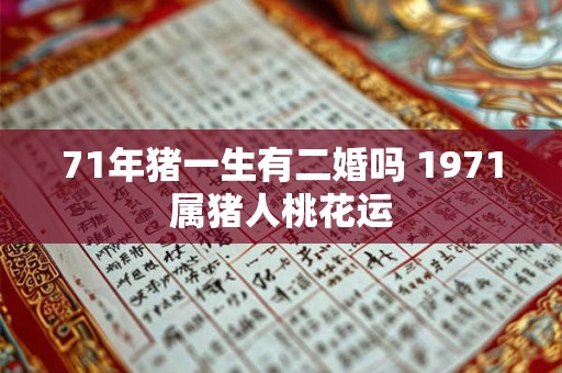 71年猪一生有二婚吗 1971属猪人桃花运