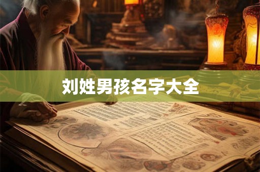 刘姓男孩名字大全 刘姓男孩名字大全