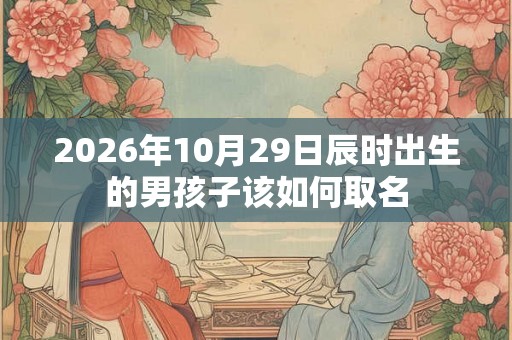 2026年10月29日辰时出生的男孩子该如何取名