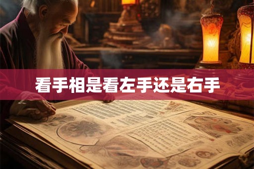 看手相是看左手还是右手