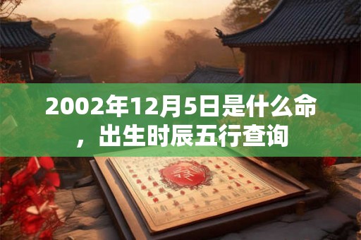 2002年12月5日是什么命,出生时辰五行查询 2002年12月5日是什么命,出生时辰五行查询