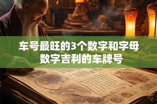 车号最旺的3个数字和字母  数字吉利的车牌号