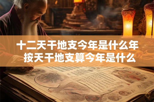 十二天干地支今年是什么年  按天干地支算今年是什么年