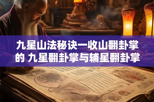 九星山法秘诀一收山翻卦掌的 九星翻卦掌与辅星翻卦掌