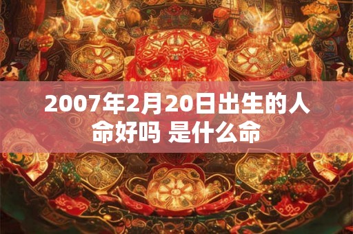 2007年2月20日出生的人命好吗 是什么命
