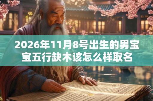 2026年11月8号出生的男宝宝五行缺木该怎么样取名