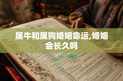 属牛和属狗婚姻命运,婚姻会长久吗