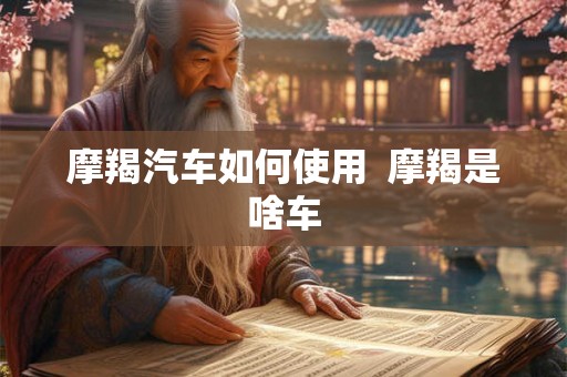 摩羯汽车如何使用 摩羯是啥车 摩羯汽车如何使用 摩羯是啥车