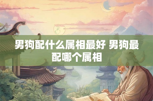 男狗配什么属相最好 男狗最配哪个属相
