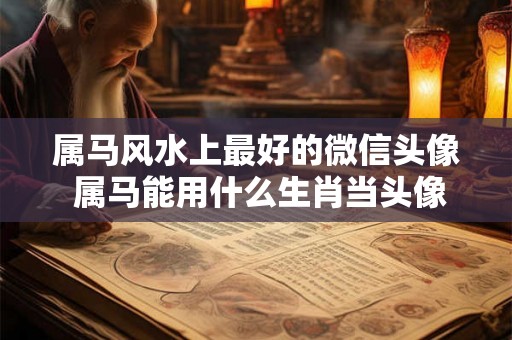 属马风水上最好的微信头像 属马能用什么生肖当头像