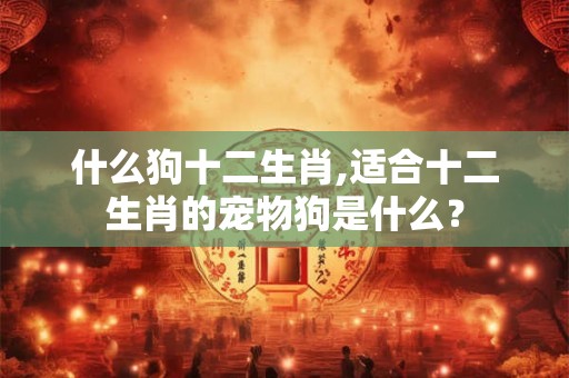 什么狗十二生肖,适合十二生肖的宠物狗是什么？