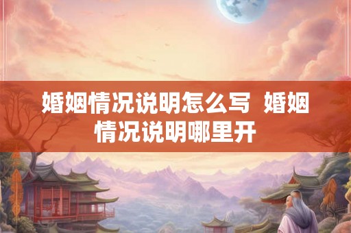 婚姻情况说明怎么写  婚姻情况说明哪里开