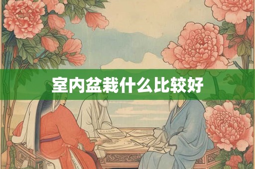 室内盆栽什么比较好