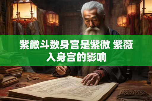 紫微斗数身宫是紫微 紫薇入身宫的影响