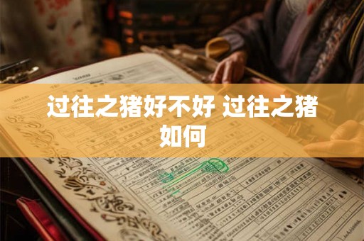过往之猪好不好 过往之猪如何