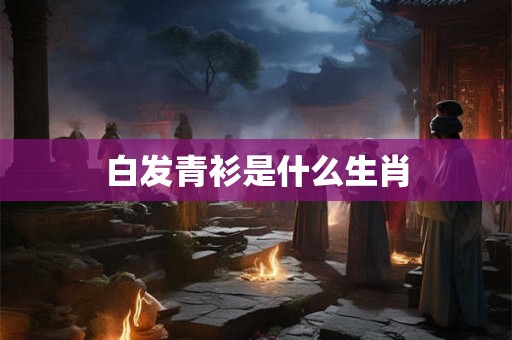 白发青衫是什么生肖