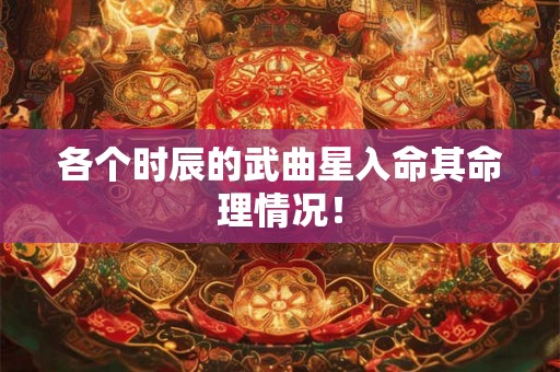 各个时辰的武曲星入命其命理情况！
