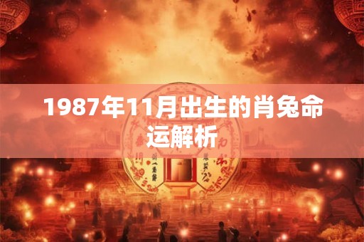 1987年11月出生的肖兔命运解析