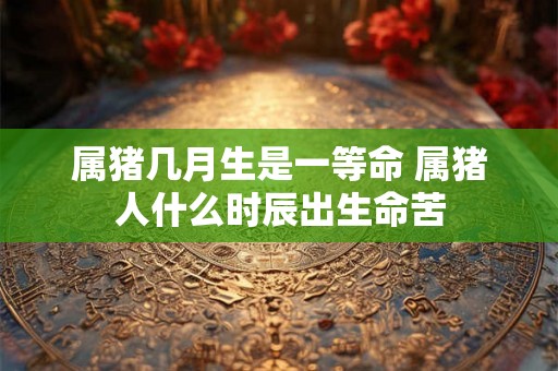 属猪几月生是一等命 属猪人什么时辰出生命苦